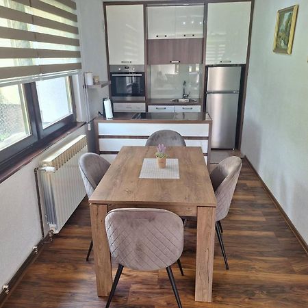 Apartman Kovaci 塞拉耶佛 外观 照片